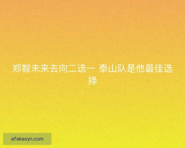 郑智未来去向二选一 泰山队是他最佳选择